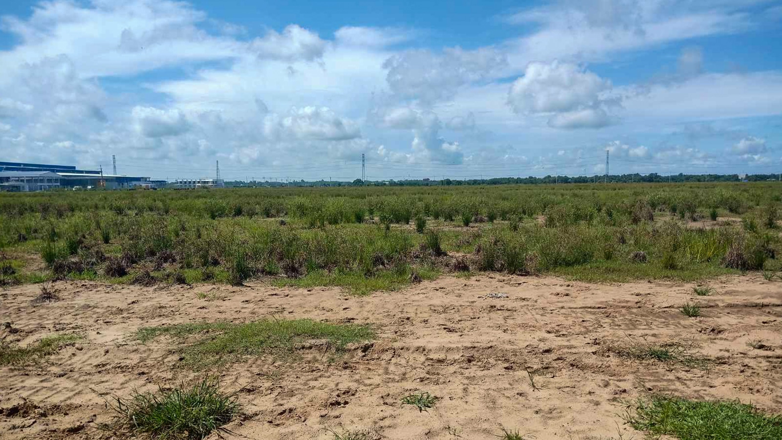 Industrial land for lease in Tay Ninh