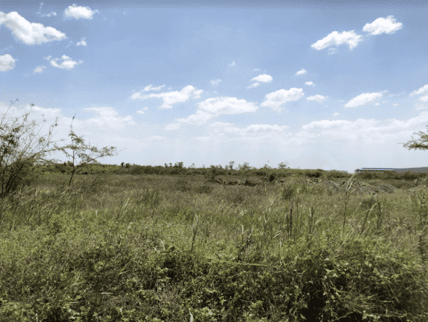 Industrial Land for Lease in HCMC