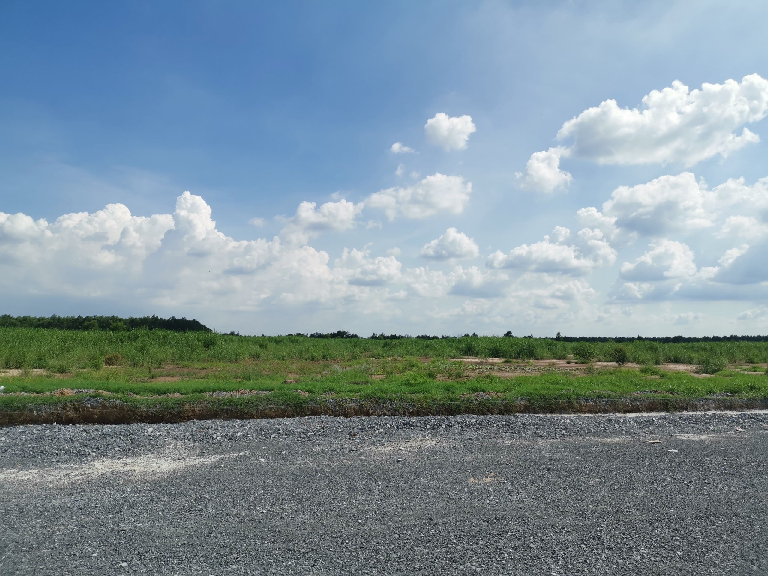 Industrial Land for Lease in HCMC