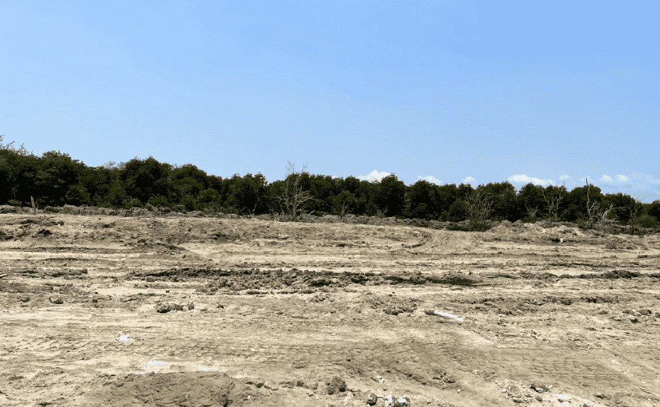 31-ha Logistics Land for Sale in Cai Mep, Ba Ria – Vung Tau