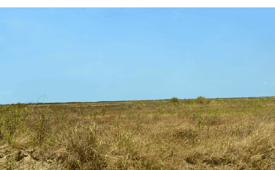 31-ha Logistics Land for Sale in Cai Mep, Ba Ria – Vung Tau