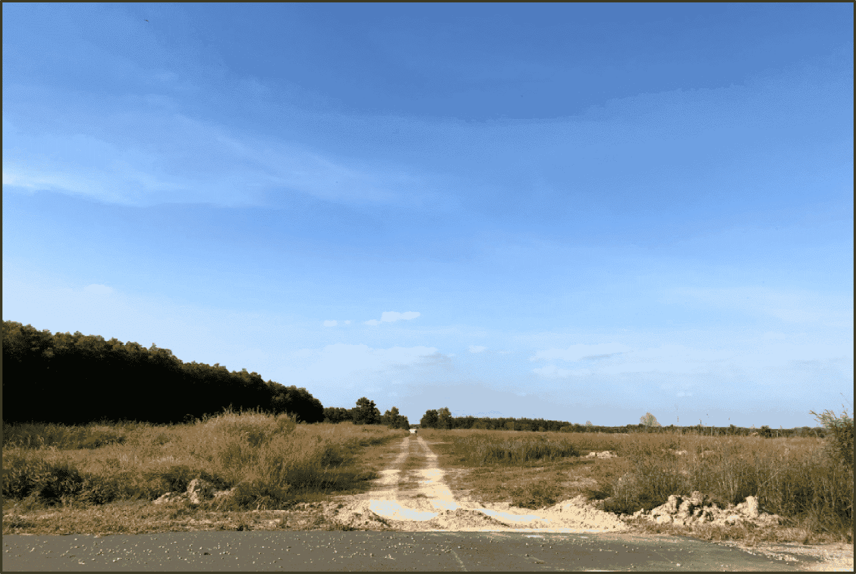Industrial land for lease in Binh Duong