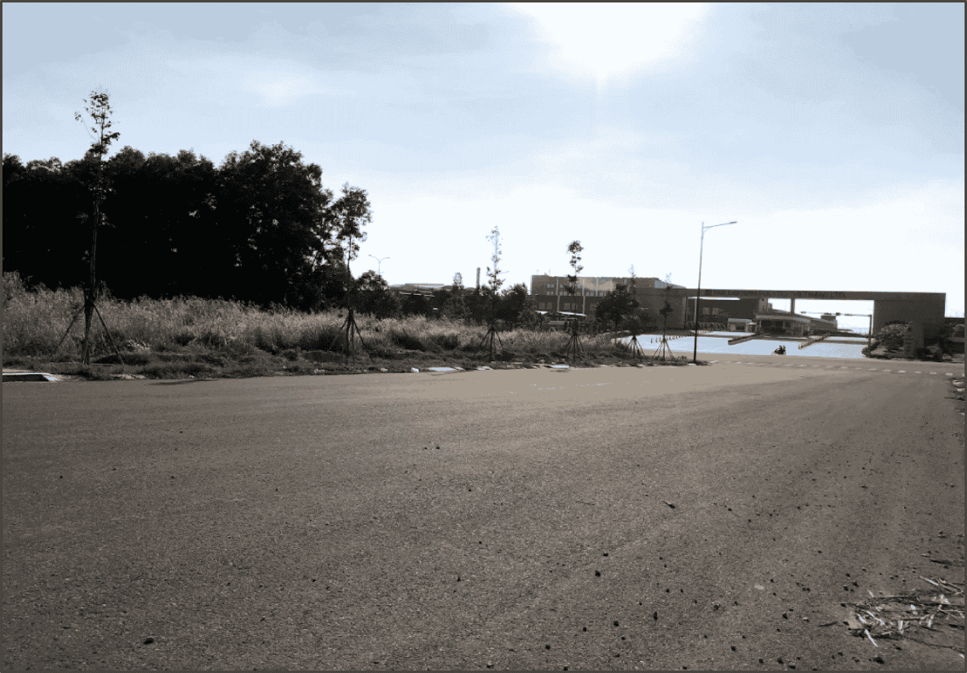 Industrial land for lease in Binh Duong