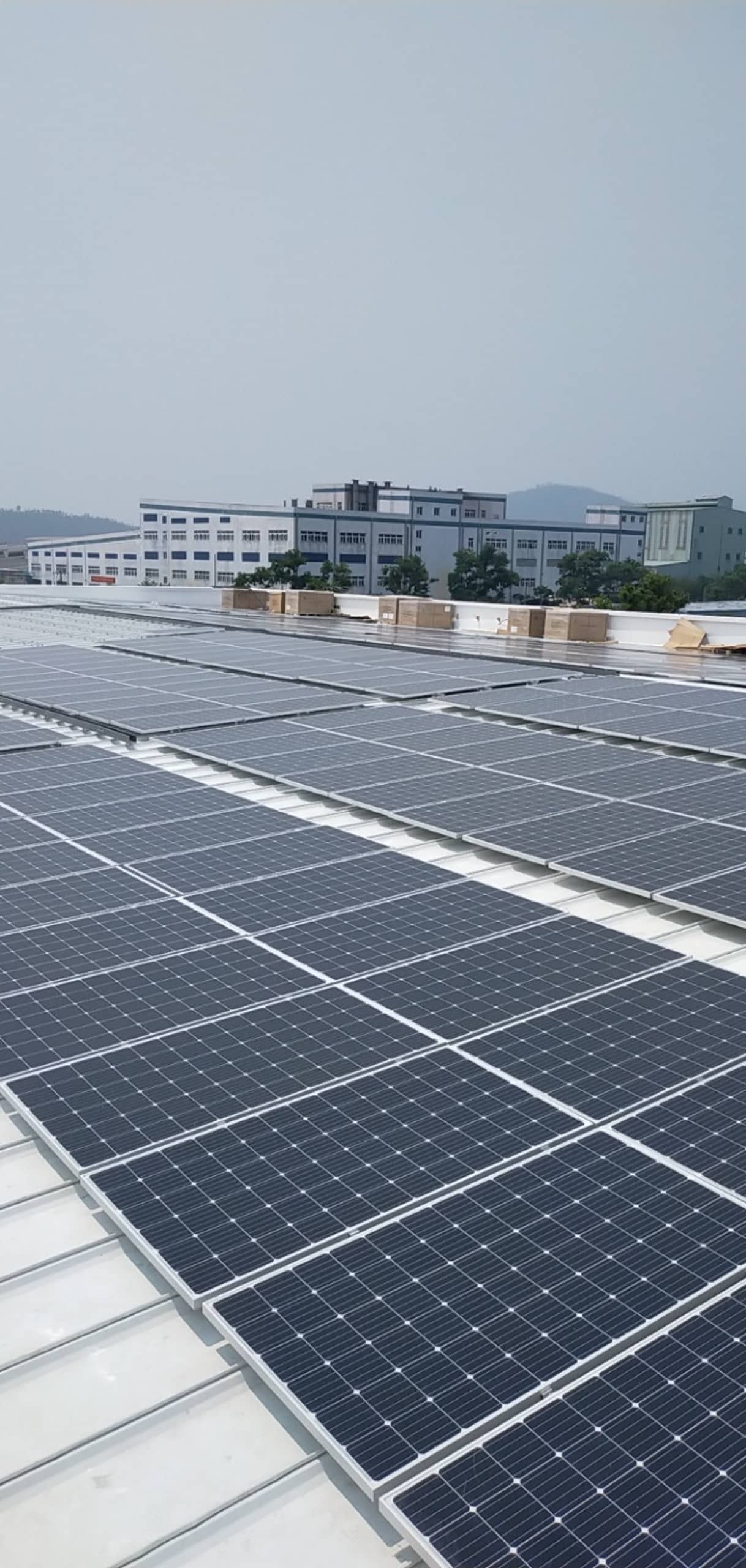 SDN-F51 High Quality Factory for Rent in Da Nang