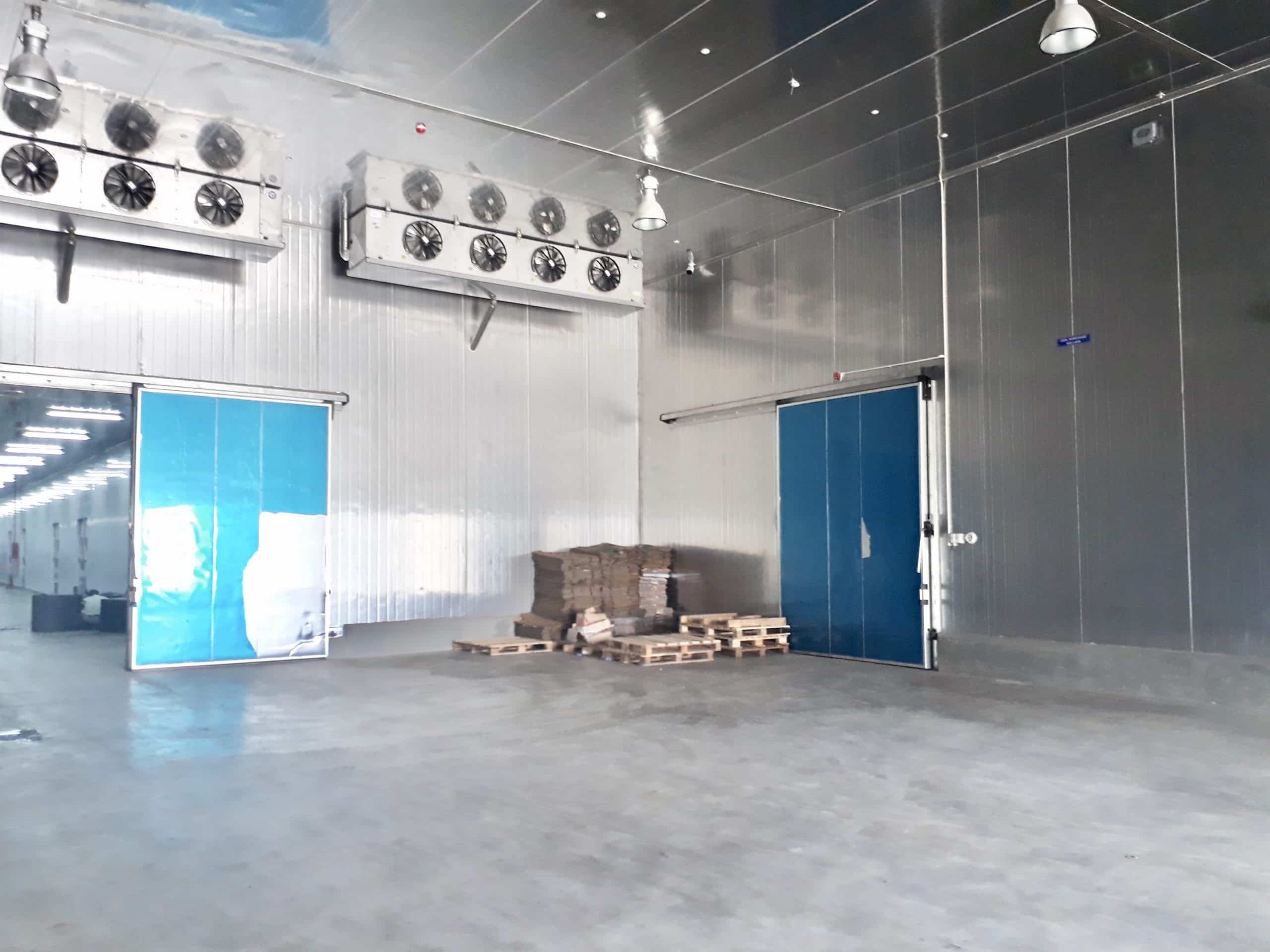 STG – FFS05 Factory for Sale in Tan Phuoc – Tien Giang