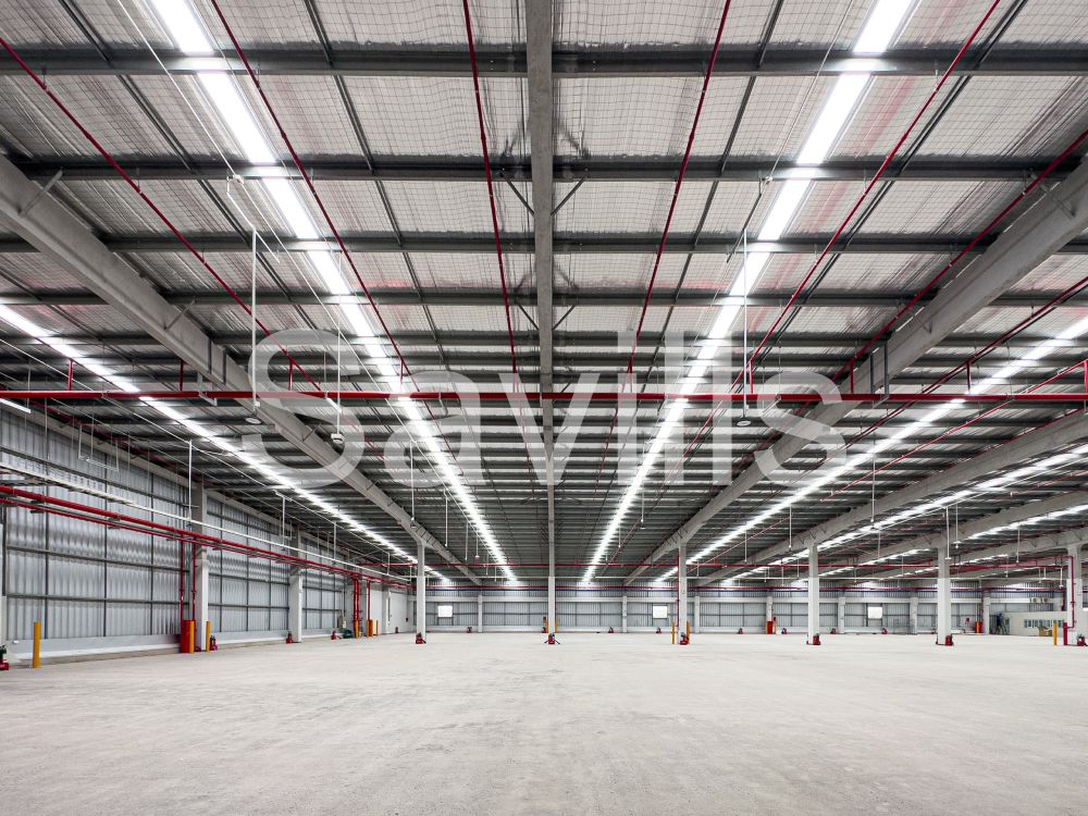 SLA_W03_Cold Storage for Lease in Long An