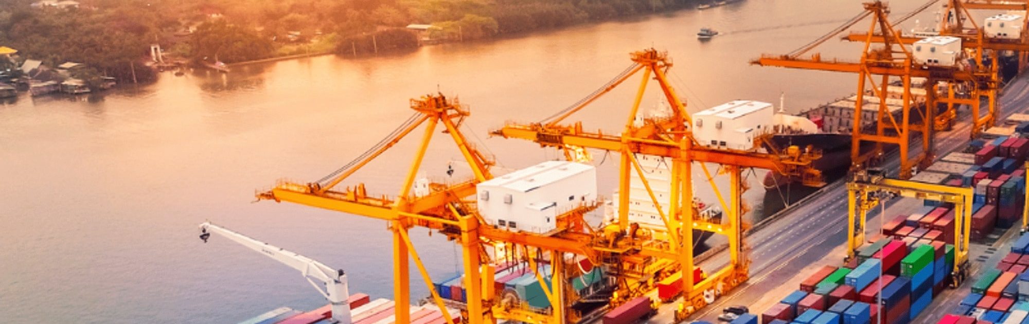 Các doanh nghiệp Việt Nam đang dần chuyển đổi số để thích ứng với thị trường