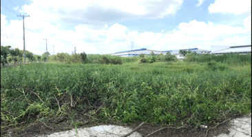 SLA_Industrial Land for Sale in Long An